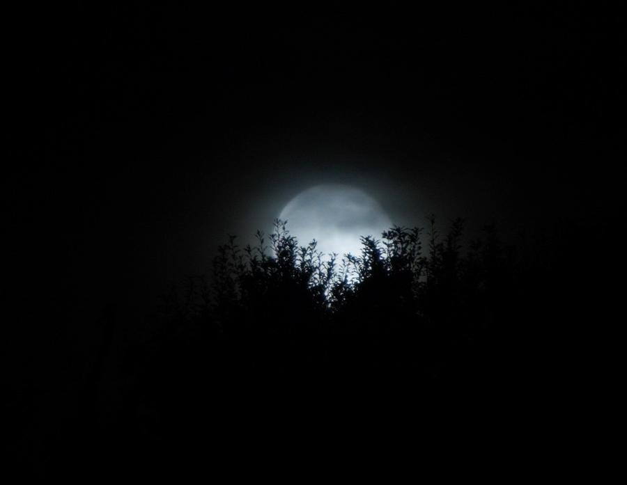 October Moon Photograph by John Glass