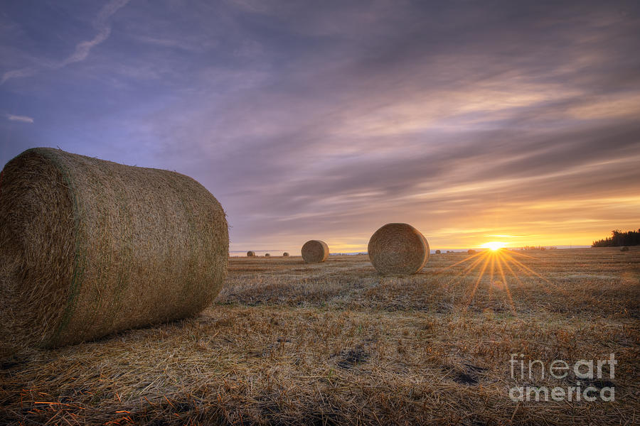 Farm Photograph - October Morning by Dan Jurak