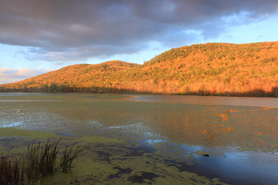 October Mountain State Forest Autumn Evening  Photograph by John Burk