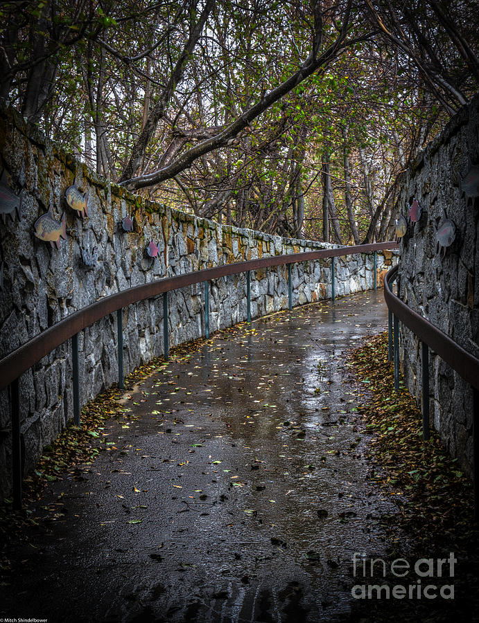 October Rain Photograph by Mitch Shindelbower