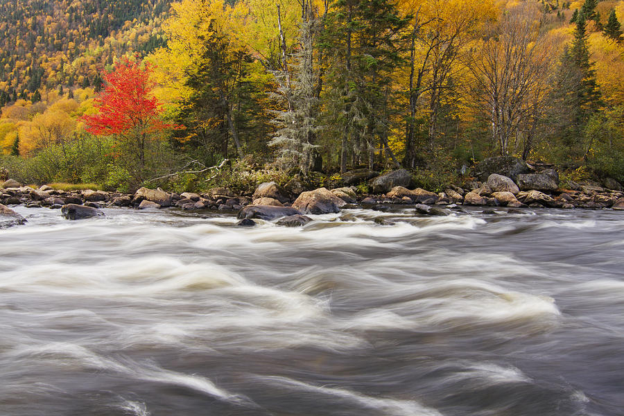 Mountain Photograph - October River  by Mircea Costina Photography
