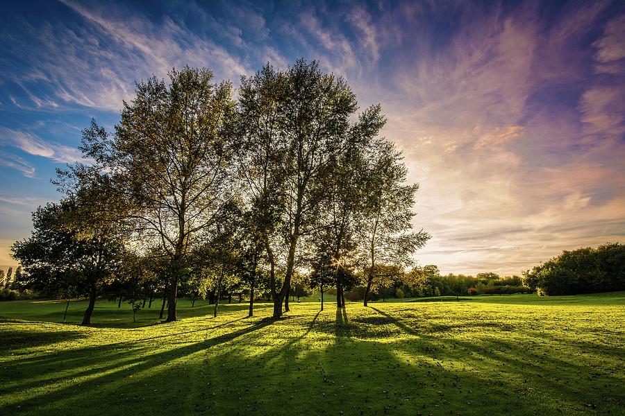 October Shadows Photograph by James Waghorn - Fine Art America