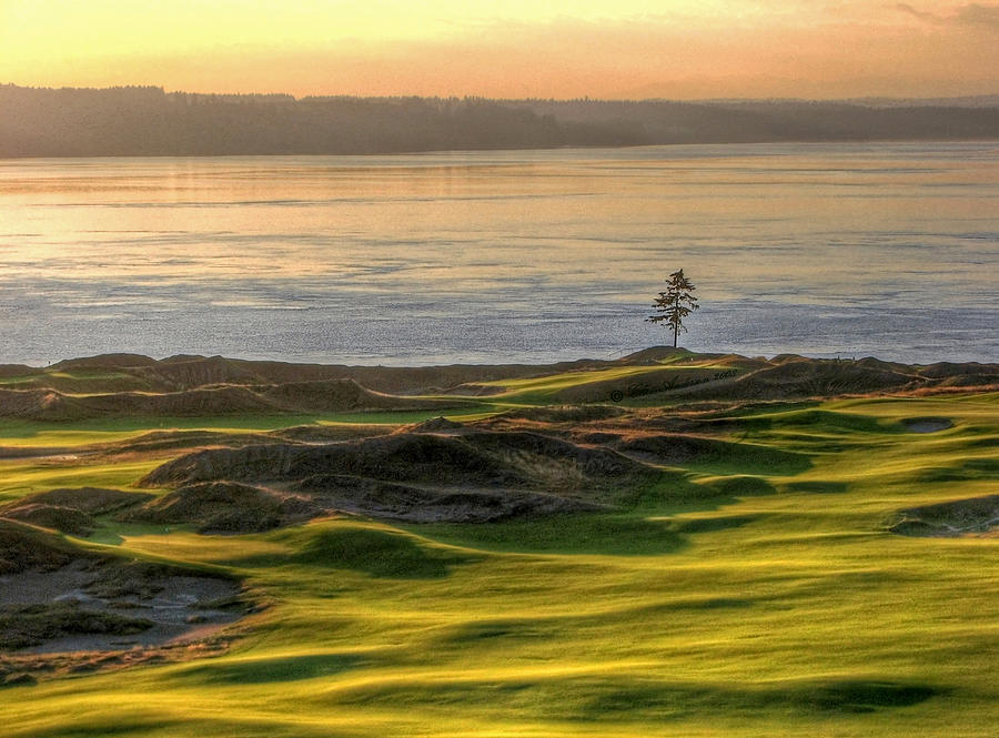 October Solitude - Chambers Bay Golf Course Photograph by Chris Anderson