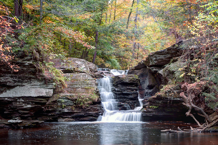 October Sprinkle On Murray Reynolds Falls Photograph by Gene Walls