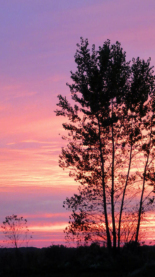 October Sunset Photograph by Patricia Januszkiewicz