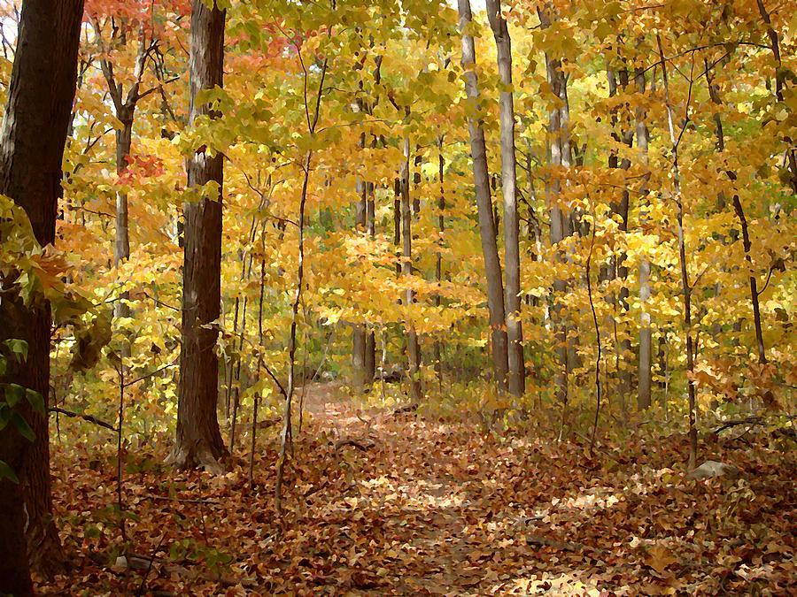 October Trail Photograph