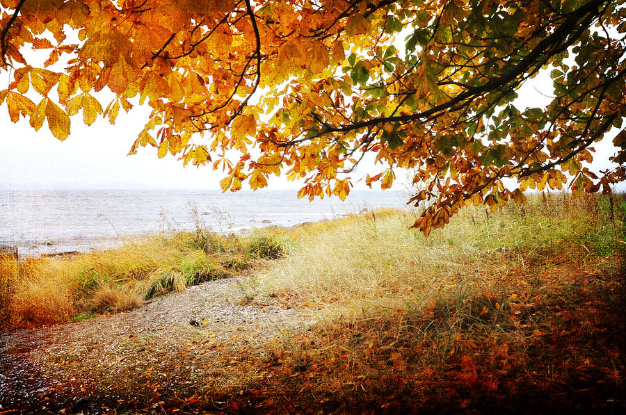 October View Photograph by Randi Grace Nilsberg