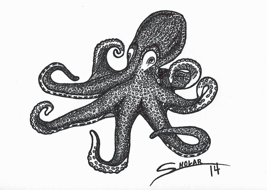 Octopus Drawing by Alex Sholar | Fine Art America