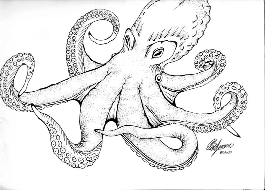 Page 3 | Realistic Octopus Illustration Images - Free Download on Freepik