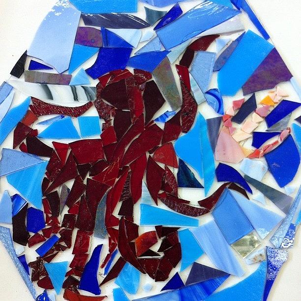 Octopus Photograph - #octopus #glass #artproject #art by Sarah Schlender