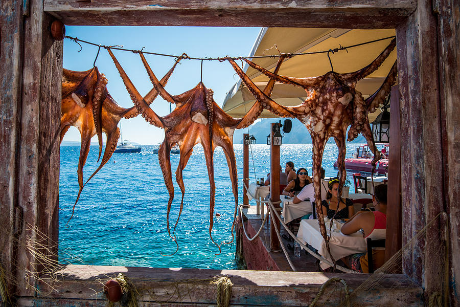 Octopus hanging at Ammoudi bay Photograph by Viktor Chan Photography