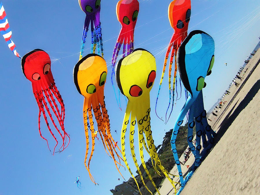 house of marbles octopus kite