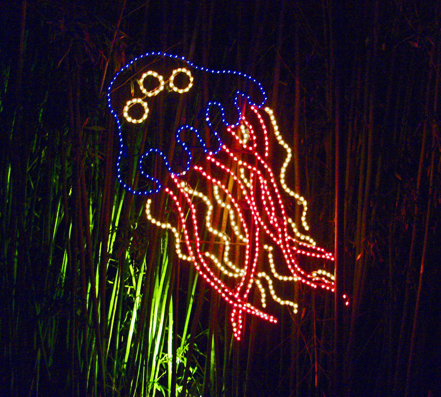 reversible octopus with lights