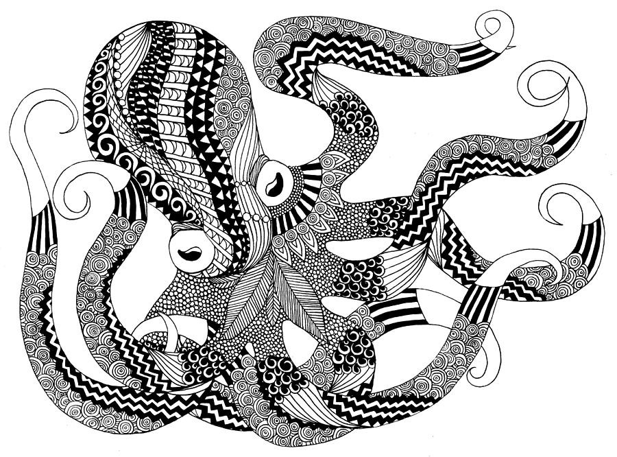 Octopus Drawing by Nicole Whelan - Pixels