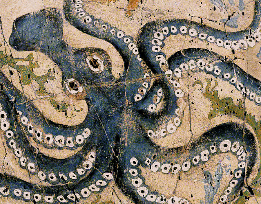 Greek Painting - Octopus - Study No. 1 by Steve Bogdanoff