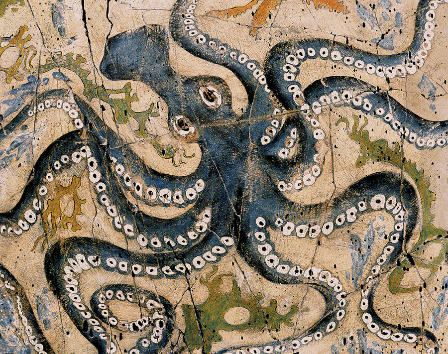 Greek Painting - Octopus - Study No. 2 by Steve Bogdanoff