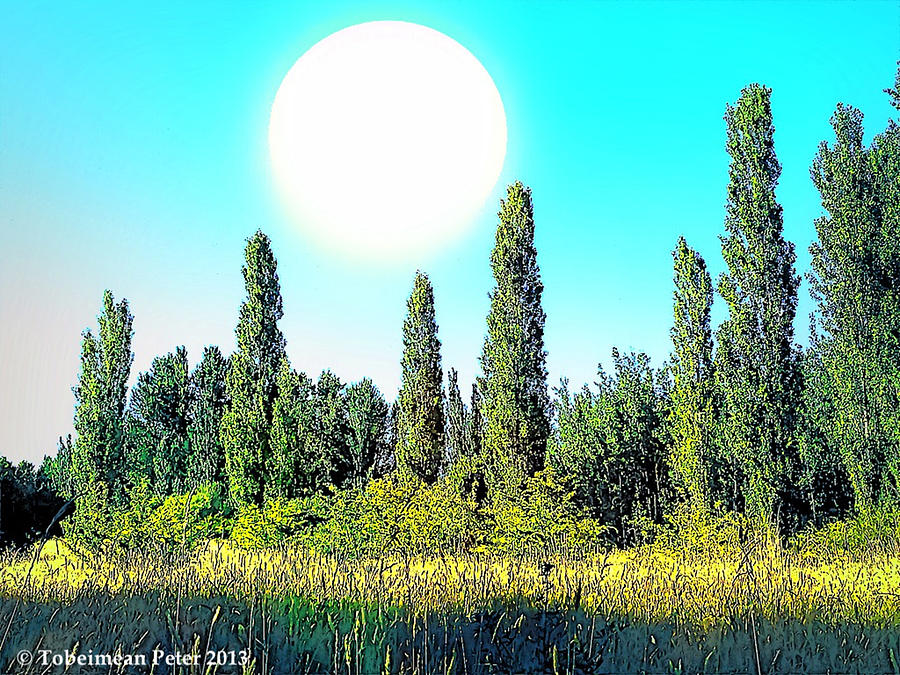 Landscape Photograph - Odd Landscape by Tobeimean Peter Landscape Photograph - Odd Landscape by Tobeimean Peter