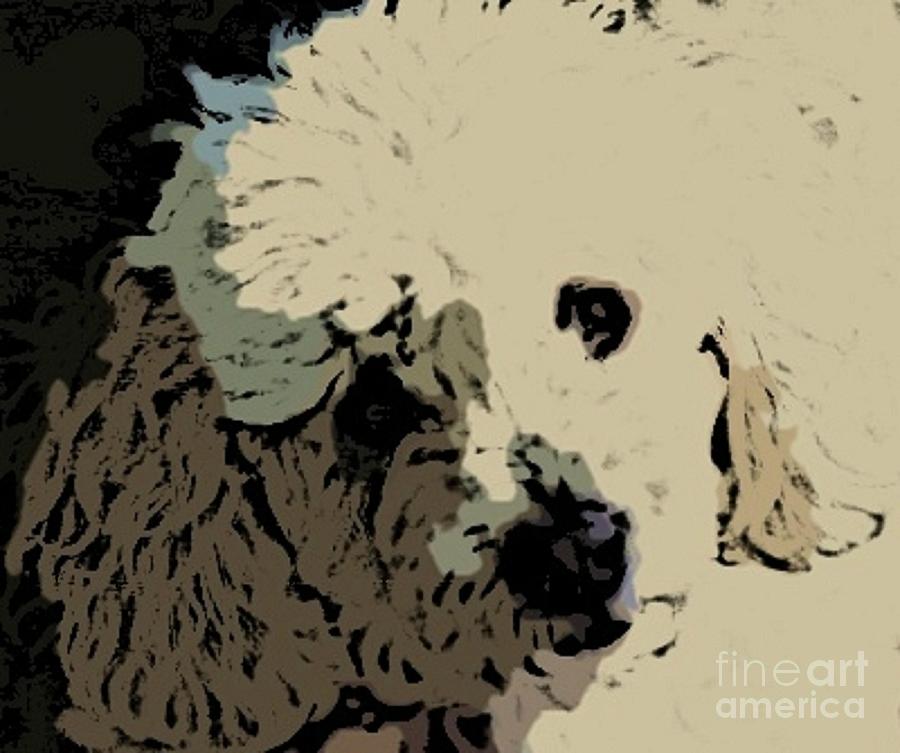Dog Digital Art - Oddles of  Poodle by John Malone