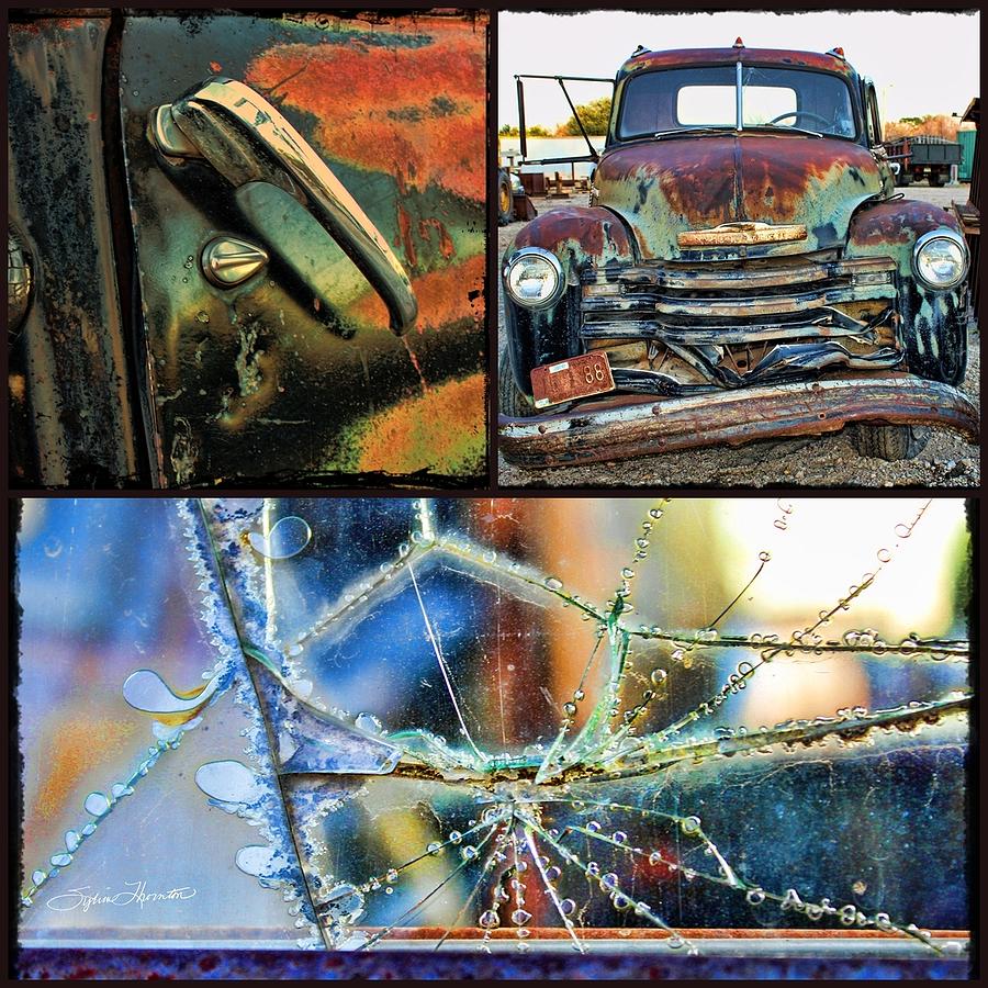 Ode to Old Truck Photograph by Sylvia Thornton
