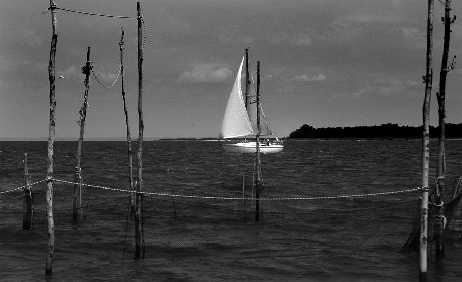 Of Sailers And Watermen Photograph