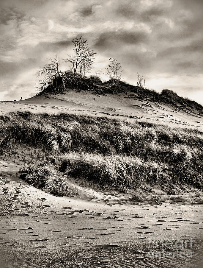 Of Sand and Sky III Photograph by Brett Maniscalco