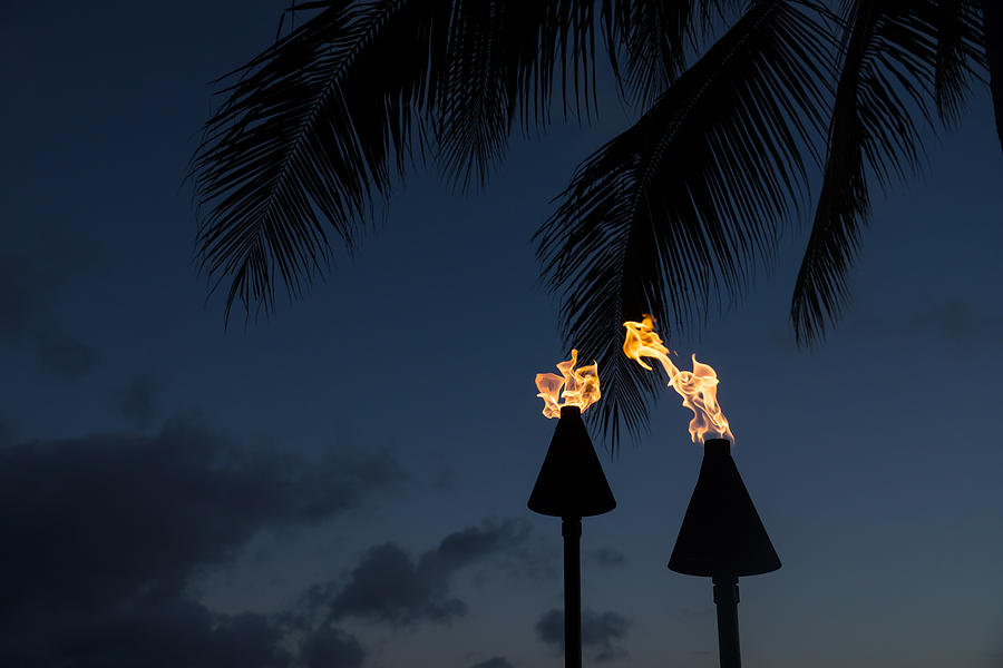 Of Tiki Torches Palm Trees and Beach Parties Photograph by Georgia Mizuleva