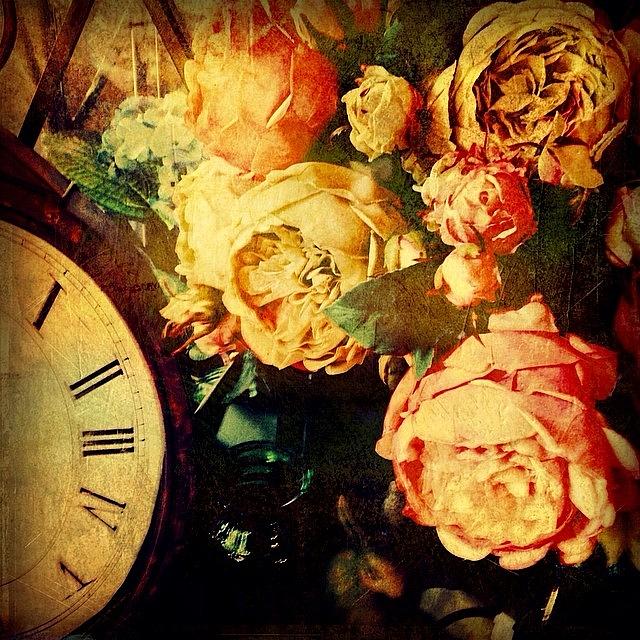 Vintage Photograph - Of Time And Roses by Paul Cutright