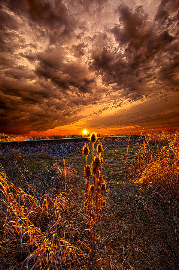 Of Wonders Lost Photograph by Phil Koch