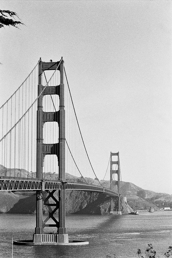 Golden Gate Bridge Photograph - Off Color by Lucia Vicari