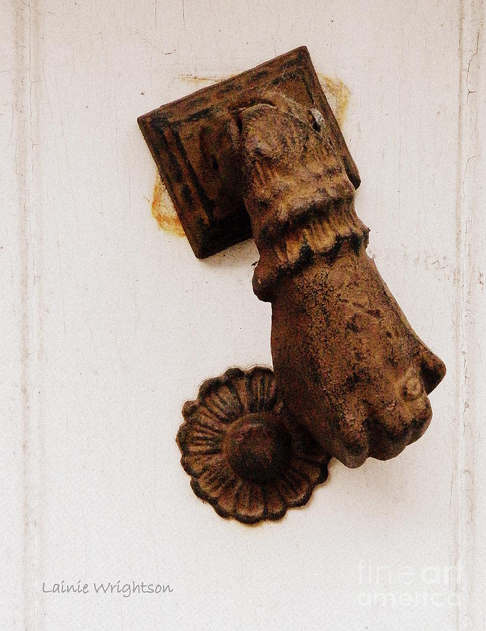 Off Its Knocker Photograph by Lainie Wrightson