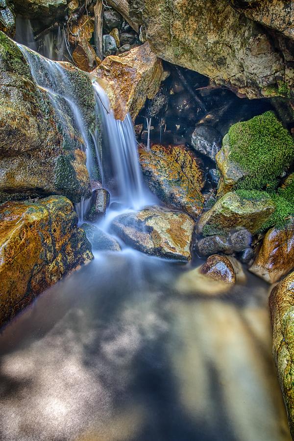 Mountain Photograph - Off the Rocks Into the Pool by Mitch Johanson