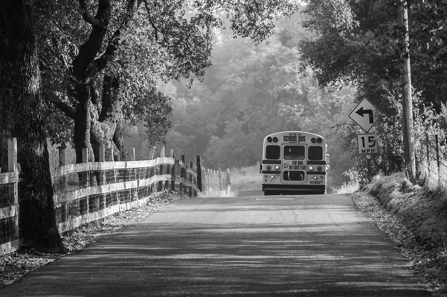 Off To School 2 Photograph by Sherri Meyer