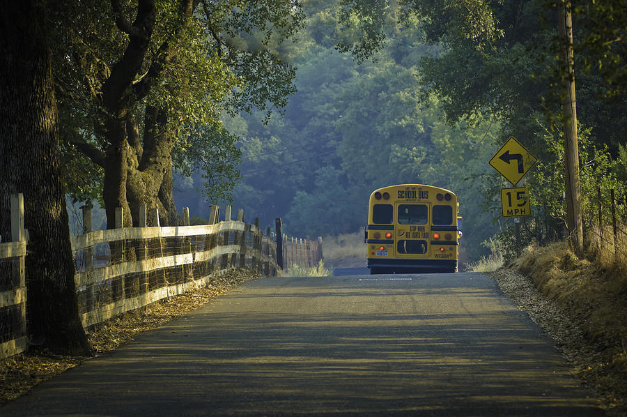 Off To School Photograph by Sherri Meyer