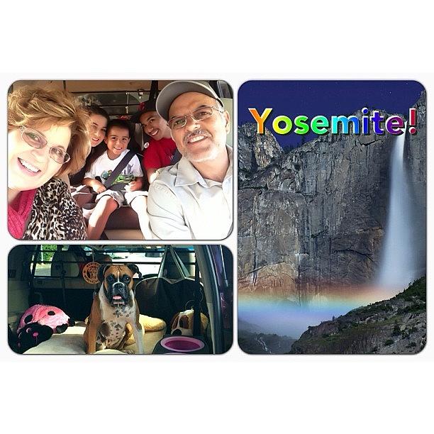 Dog Photograph - Off To Yosemite With The Family by Susan Scott 