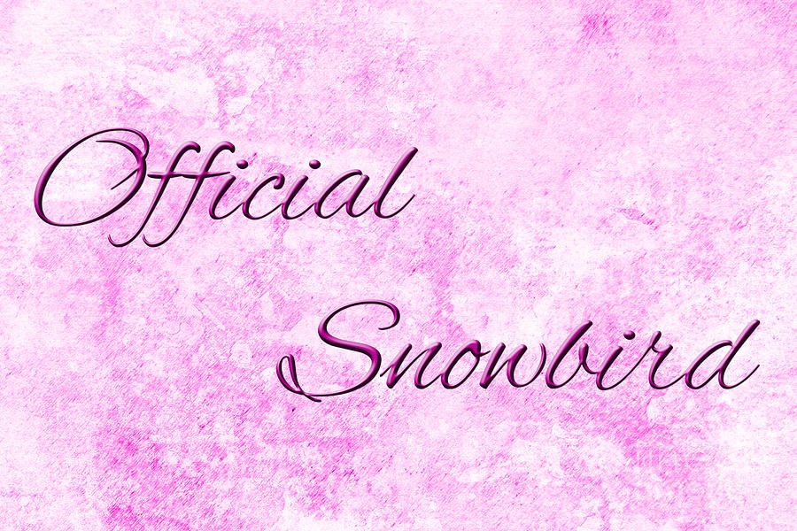 Official Snowbird 2 Digital Art by Andee Design