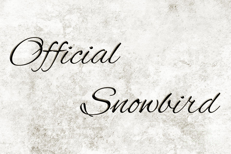 Official Snowbird 3 Digital Art by Andee Design