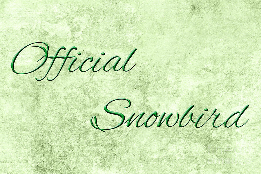 Official Snowbird 5 Digital Art by Andee Design