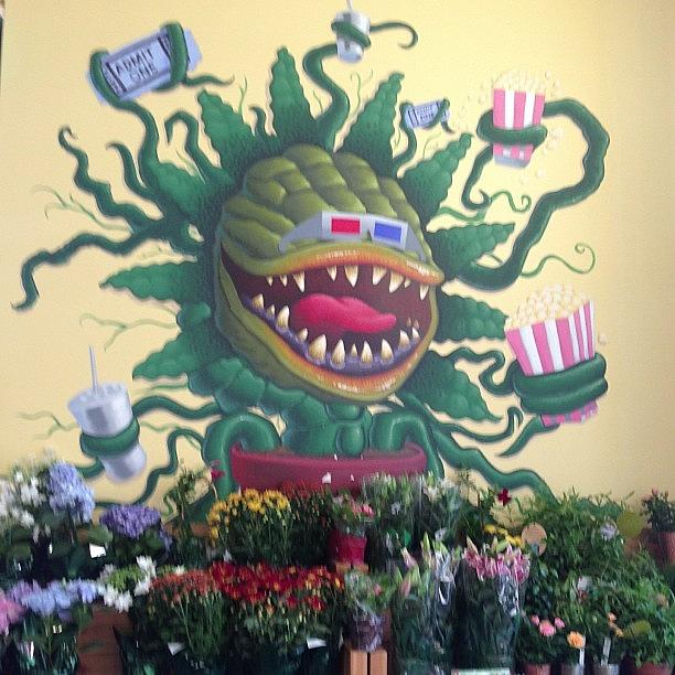 Officially The Coolest Trader Joes Ever! Photograph by Nathan Gardner