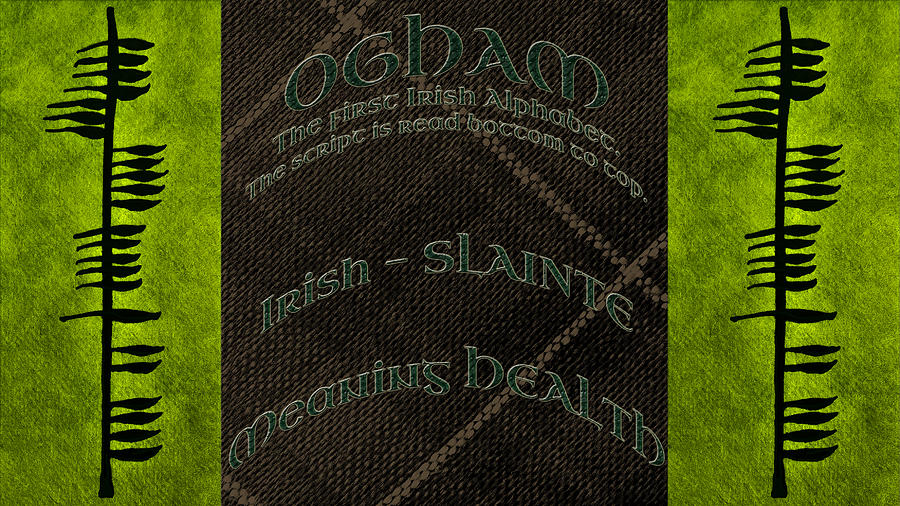 Nature Photograph - OGHAM Ancient Irish Text for Health  by LeeAnn McLaneGoetz McLaneGoetzStudioLLCcom