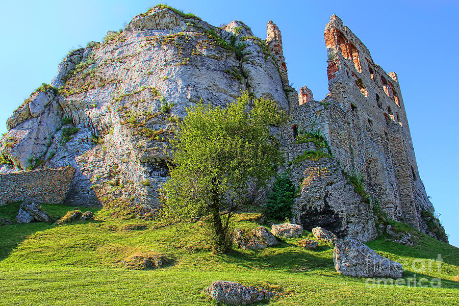 Ogrodzieniec Castle Photograph by Mariola Bitner