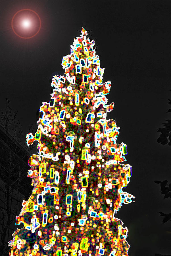 Oh Christmas Tree Photograph by Cassandra Buckley