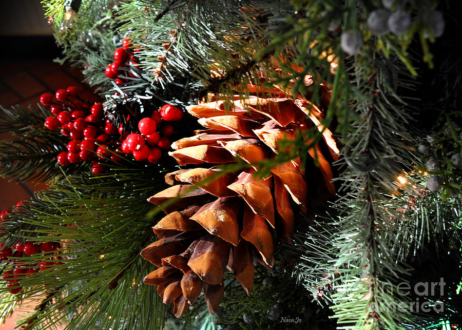 Oh Christmas Tree Photograph by Nava Thompson