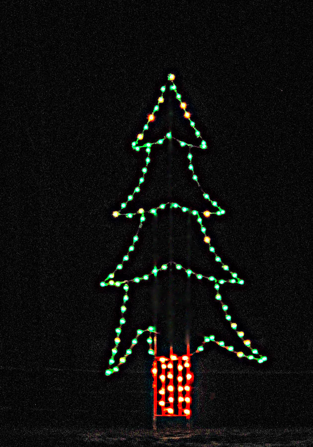 Oh Christmas Tree Oh Christmas Tree Photograph by Barbara McDevitt