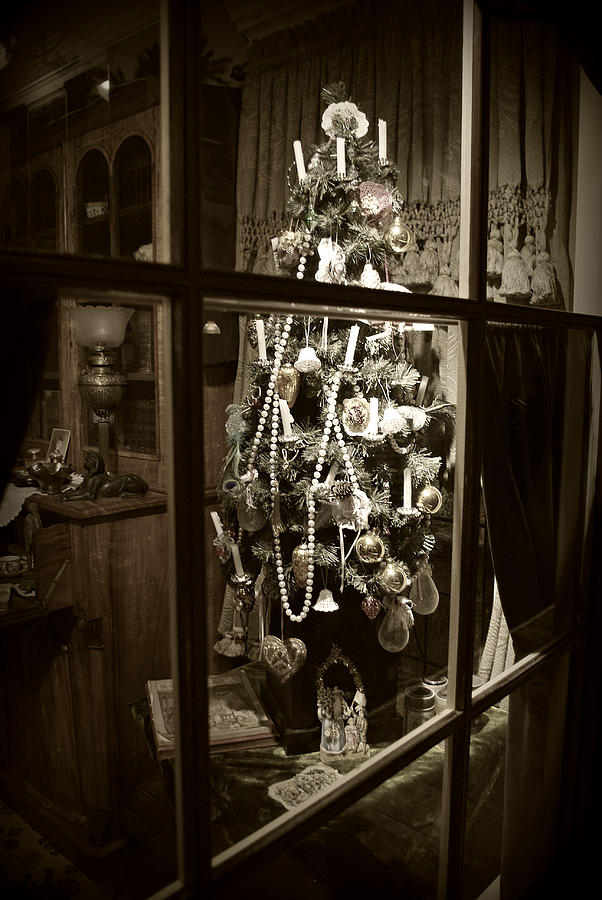 Oh Christmas Tree - sepia Photograph by Marilyn Wilson