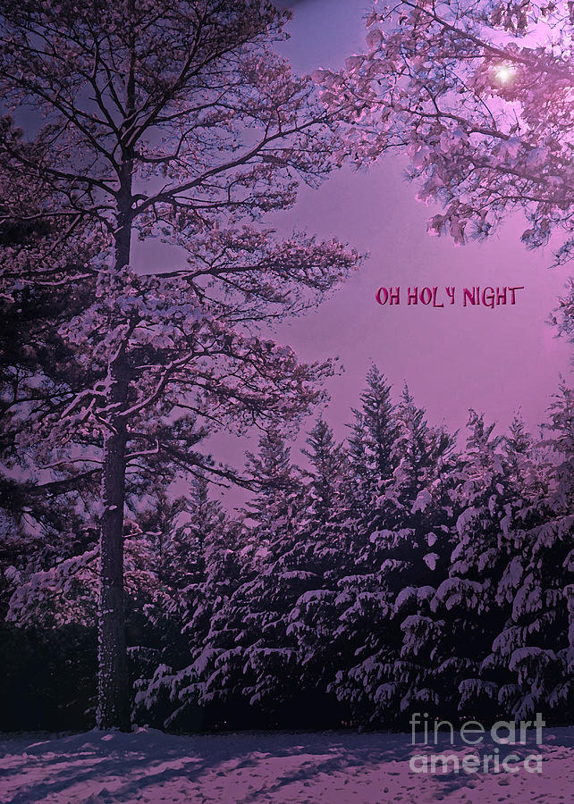 Oh Holy Night Photograph by Lydia Holly