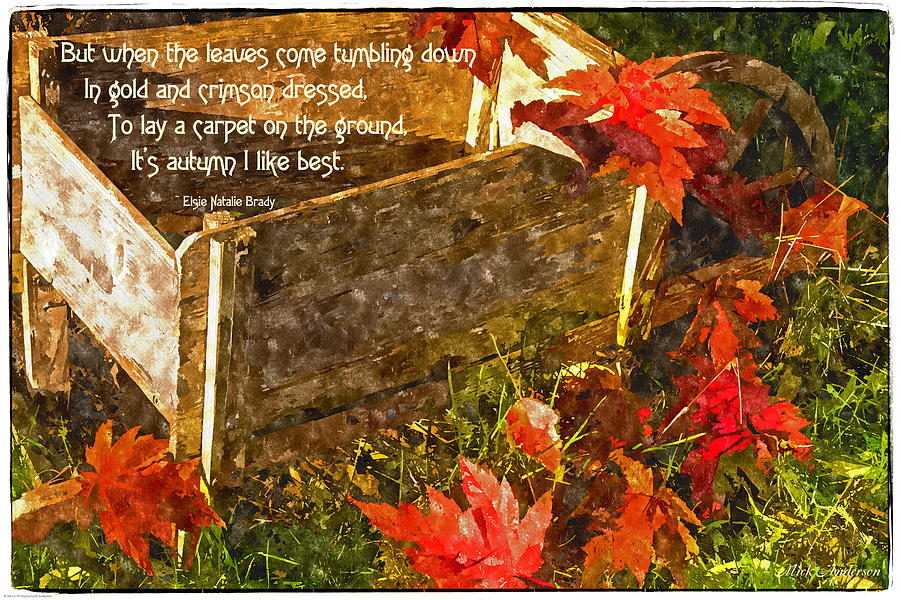 Oh How I Love Autumn with Poetry Photograph by Mick Anderson