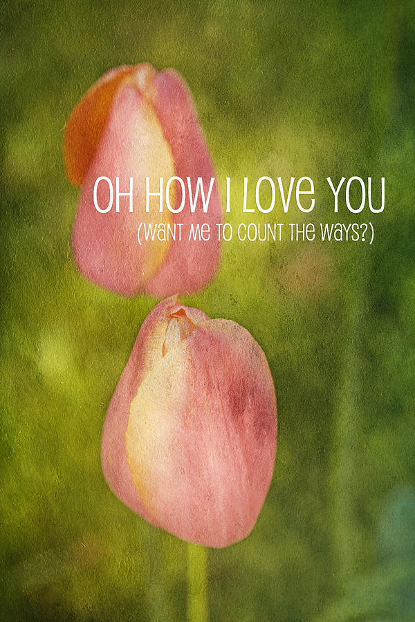 Oh How I Love You Photograph by Bonnie Bruno