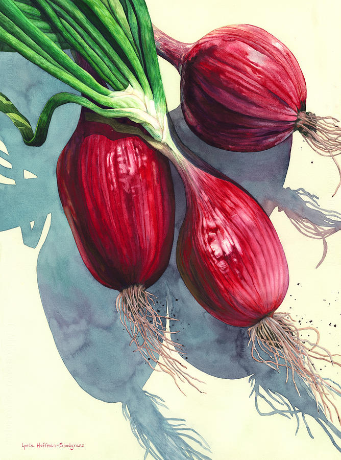 Oh I like Onions Painting by Lynda Hoffman-Snodgrass
