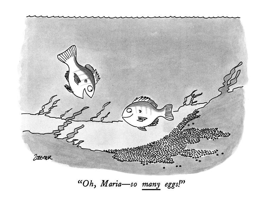 Oh, Maria - So Many Eggs! Drawing by Jack Ziegler