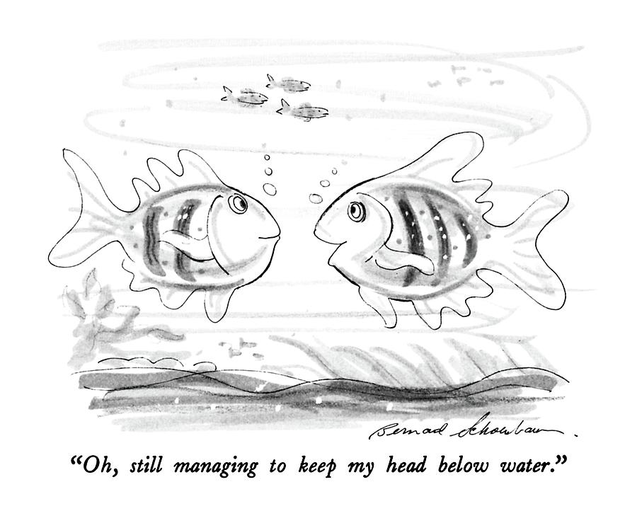 Oh, Still Managing To Keep My Head Below Water Drawing by Bernard Schoenbaum